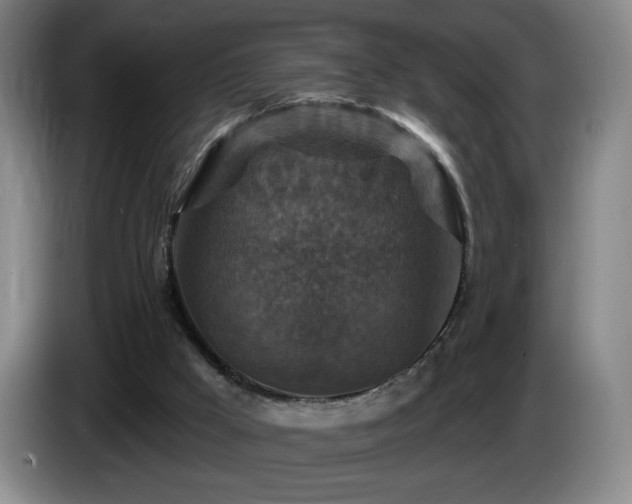 X0000085300009200703091443