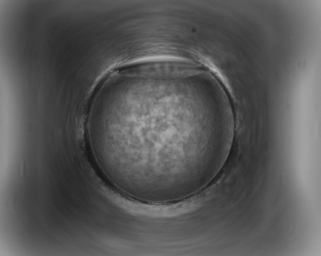 X0000085300010200703091443