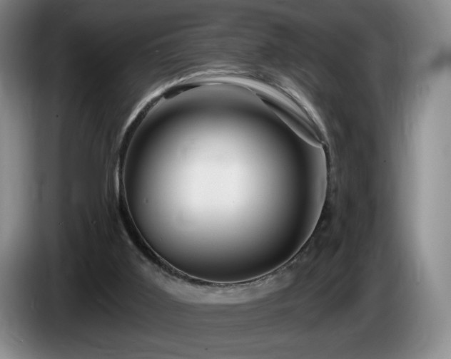 X0000085300011200703091443