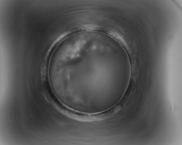 X0000085300012200703091443