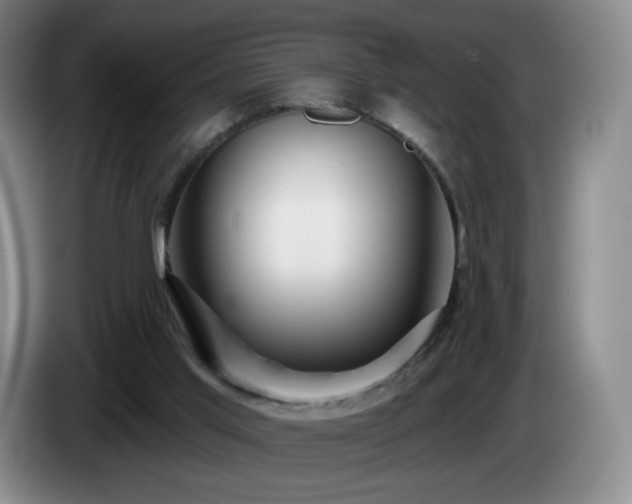 X0000085300013200703091443