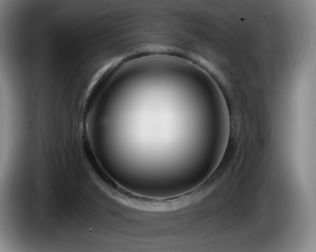 X0000085300015200703091443