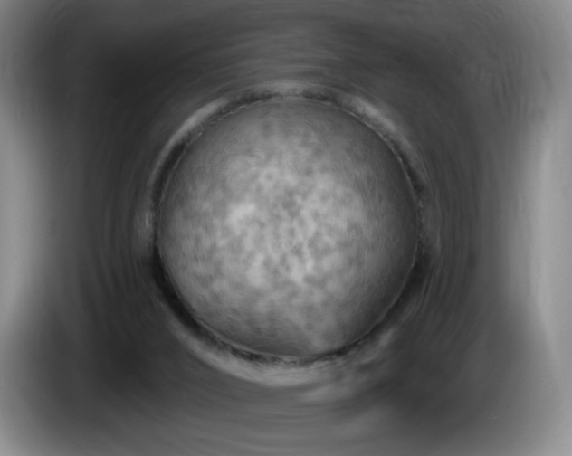 X0000085300016200703091443