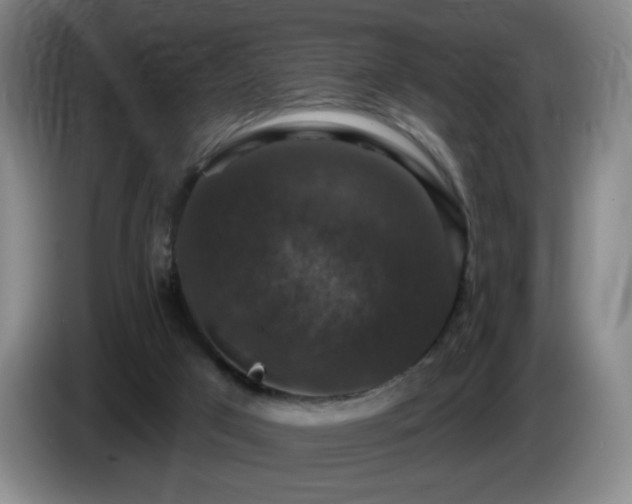 X0000085300017200703091443