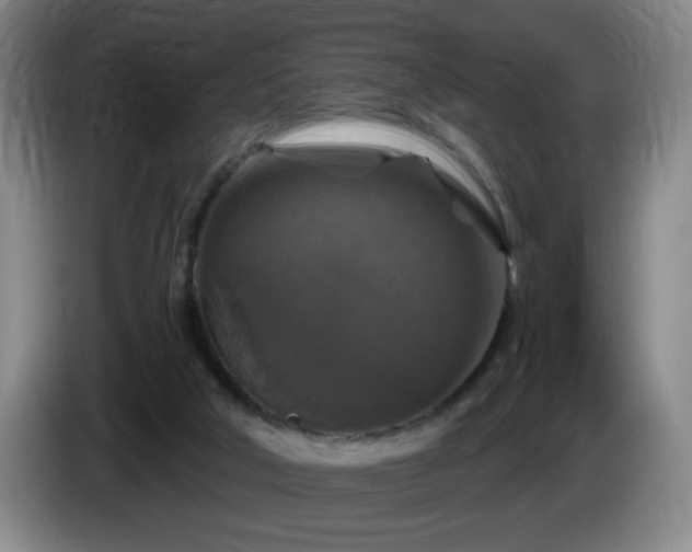 X0000085300018200703091443