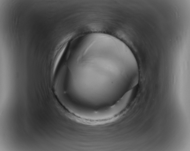 X0000085300019200703091443