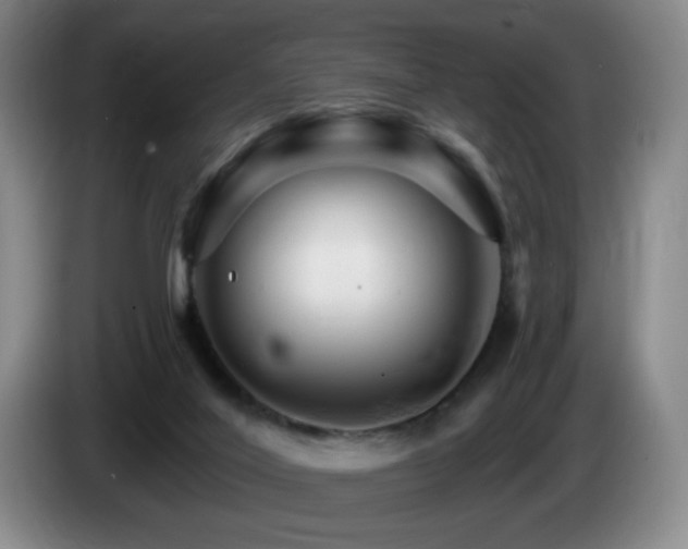 X0000085300020200703091443