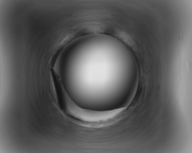 X0000085300021200703091443