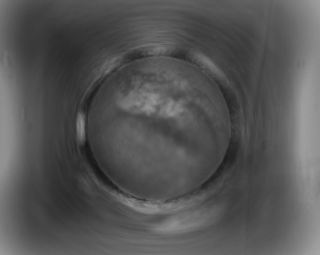 X0000085300022200703091443