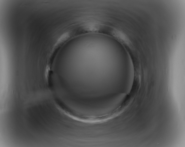 X0000085300023200703091443