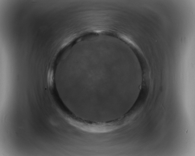 X0000085300024200703091443