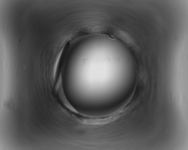 X0000085300025200703091443