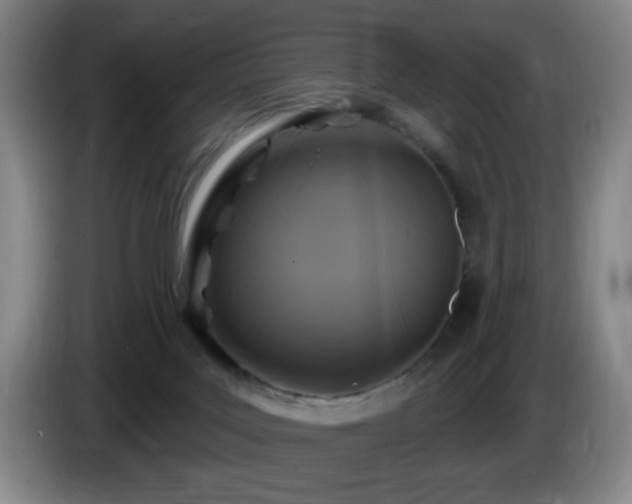 X0000085300027200703091442