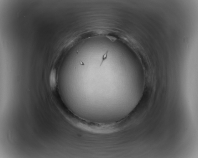 X0000085300028200703091442