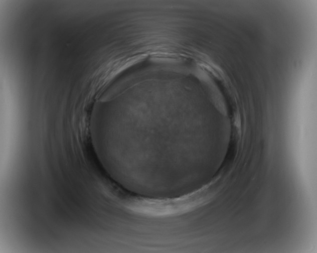 X0000085300029200703091442