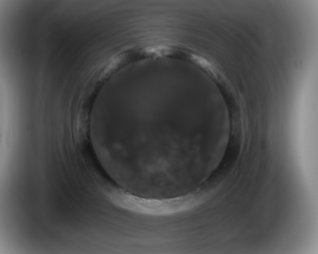 X0000085300030200703091442