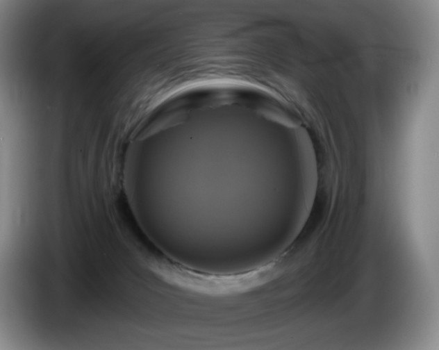 X0000085300031200703091442