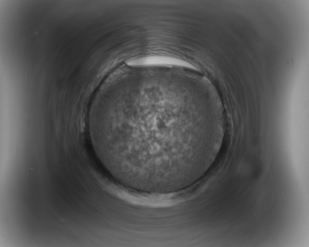 X0000085300032200703091442