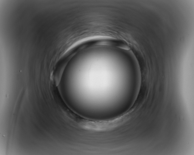 X0000085300033200703091442