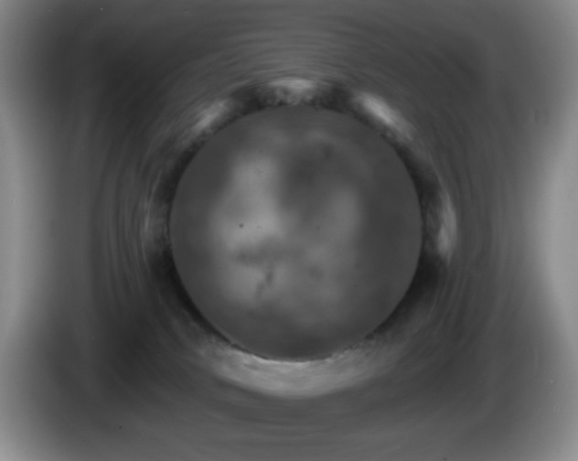 X0000085300034200703091442