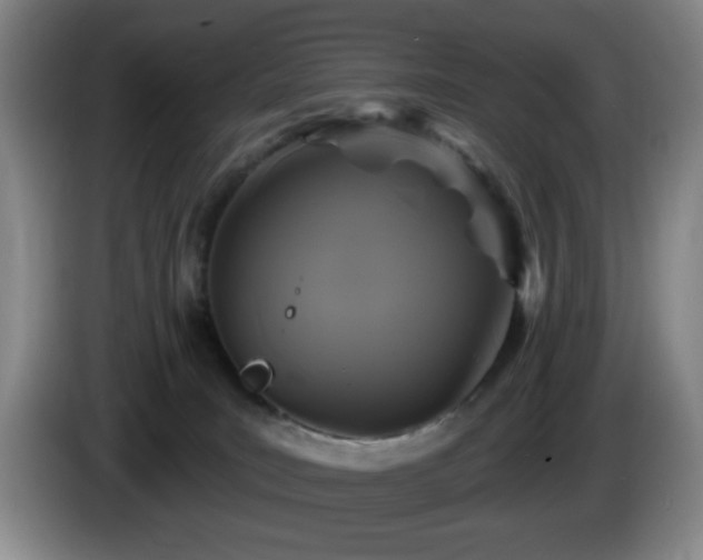 X0000085300035200703091442