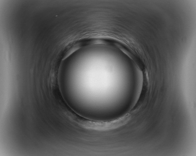 X0000085300037200703091442