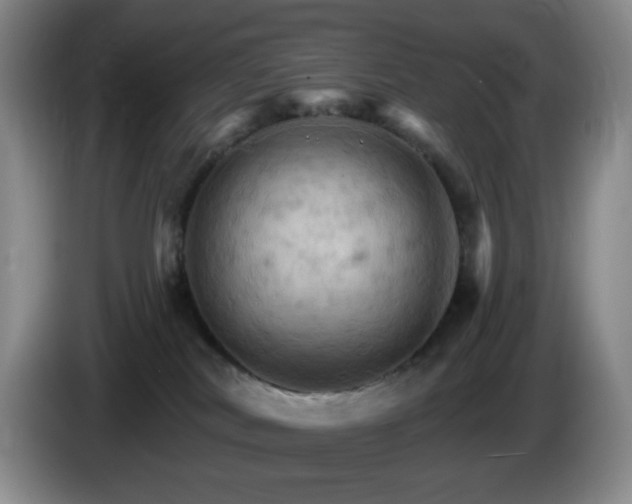 X0000085300038200703091442