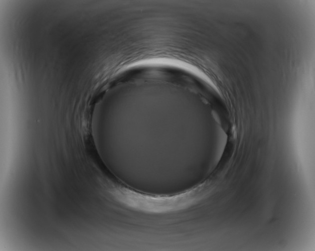 X0000085300039200703091442