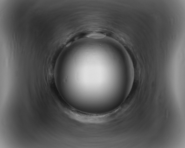 X0000085300040200703091442