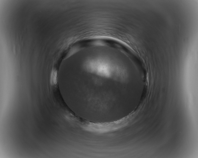 X0000085300041200703091442