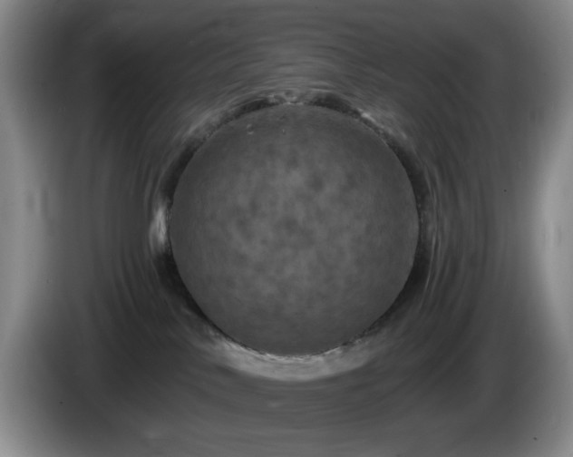 X0000085300042200703091442