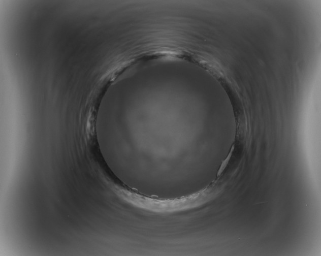 X0000085300043200703091442