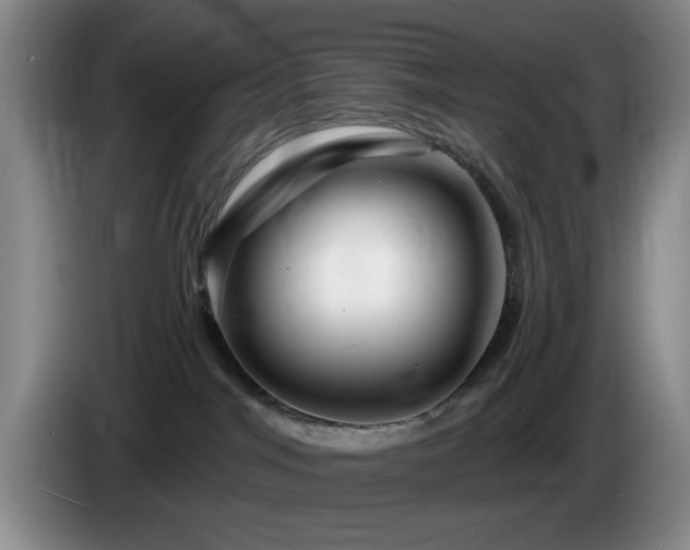 X0000085300044200703091442