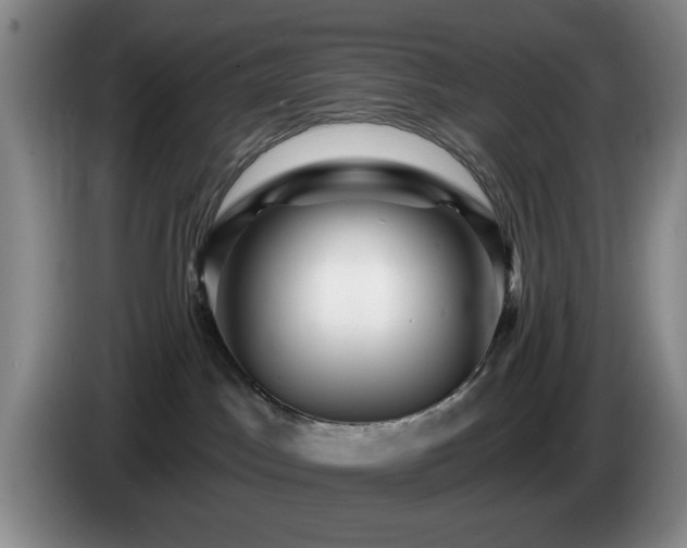 X0000085300045200703091442