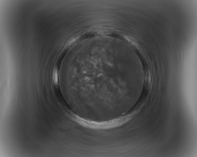 X0000085300046200703091442