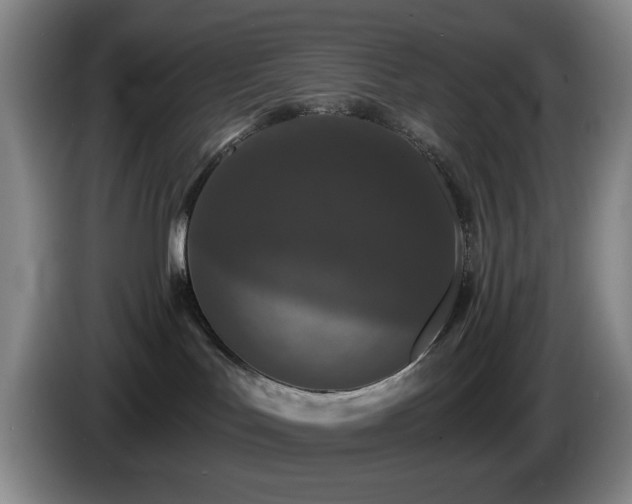 X0000085300047200703091442