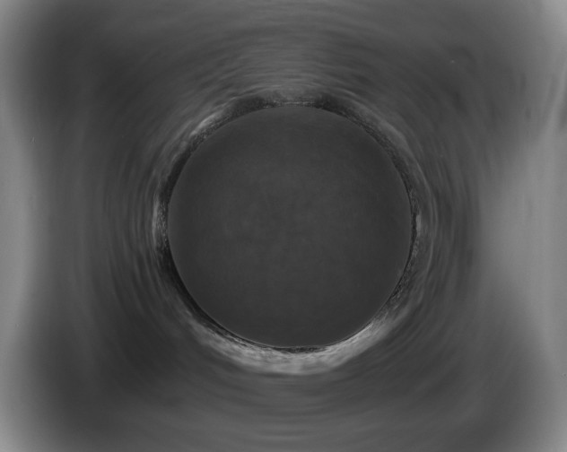 X0000085300048200703091442