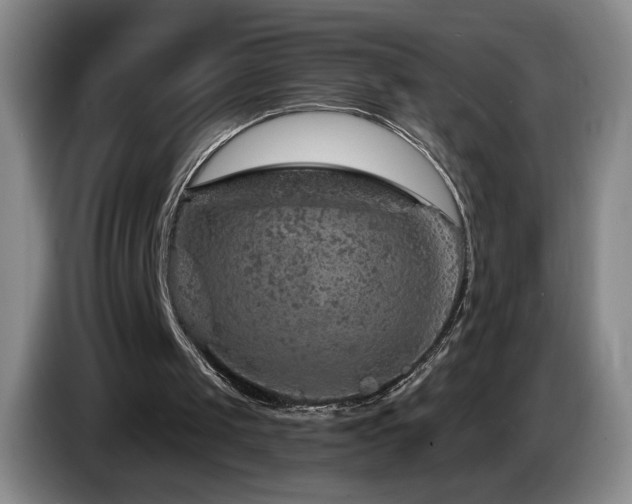 X0000085300049200703091441