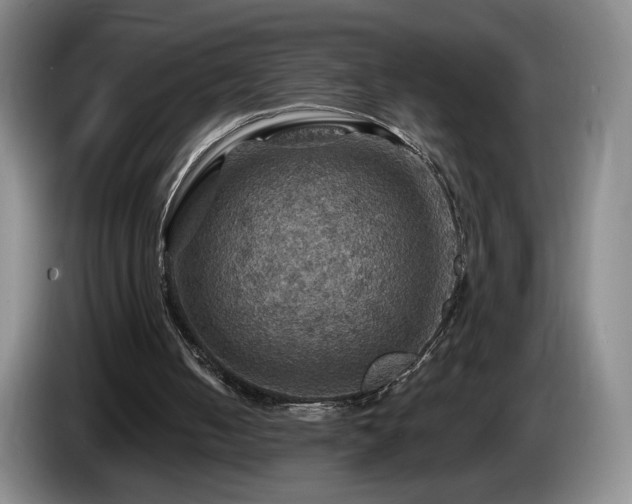 X0000085300050200703091441