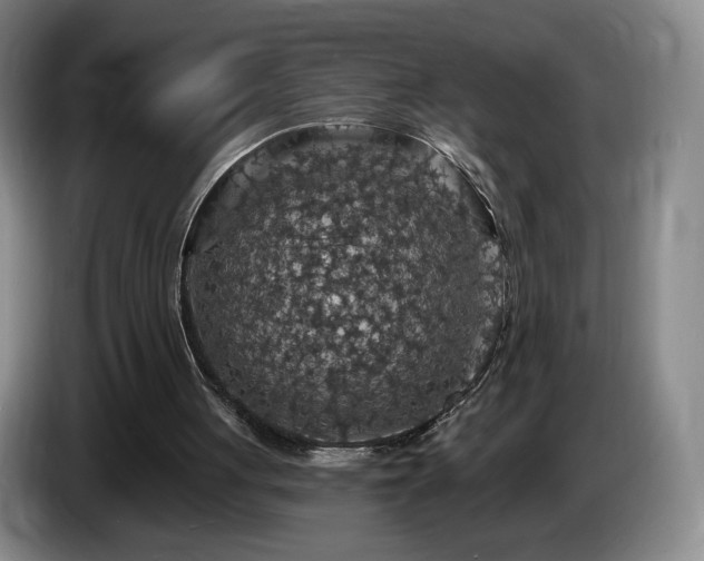 X0000085300051200703091441