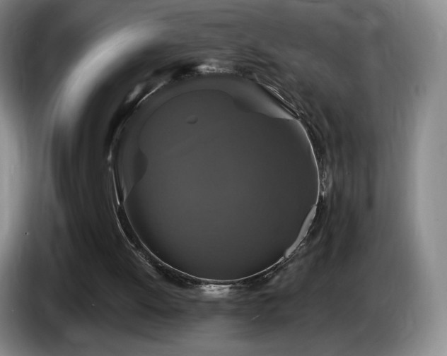 X0000085300052200703091441