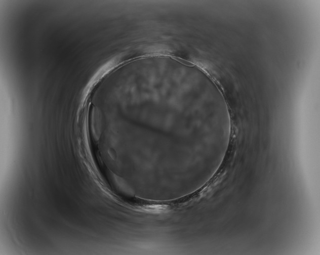 X0000085300053200703091441