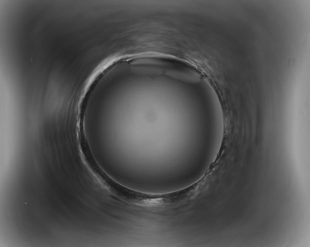 X0000085300054200703091441