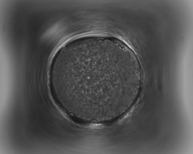 X0000085300055200703091441