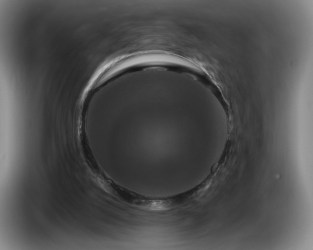 X0000085300056200703091441