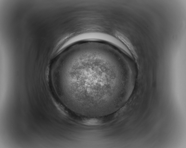 X0000085300058200703091442