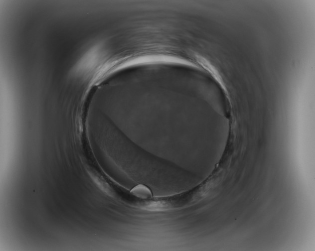 X0000085300059200703091442