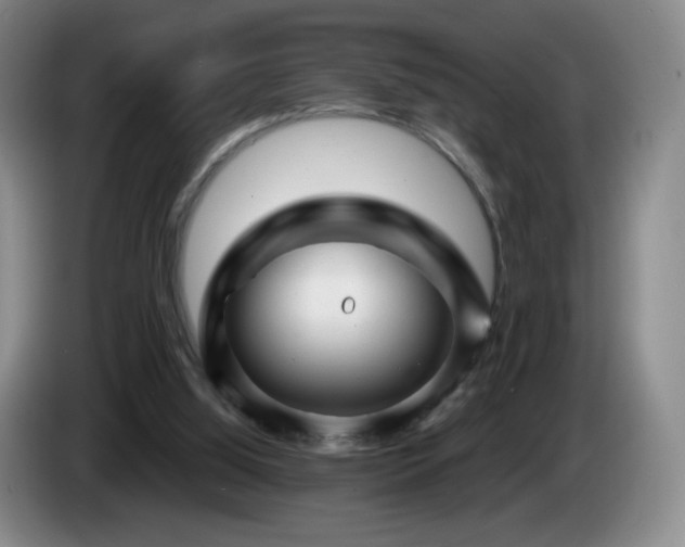 X0000085300060200703091442