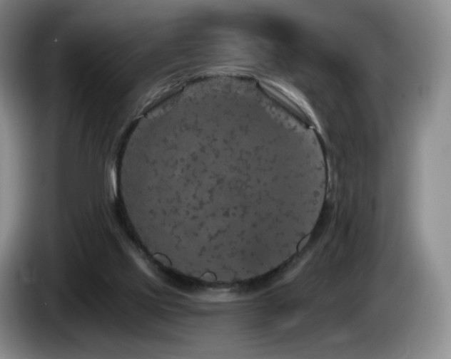 X0000085300061200703091442