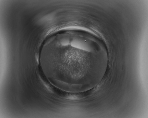 X0000085300062200703091442